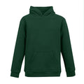 290gsm Blaze Hoodie
