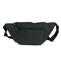 Anywhere ZipGo Waist Bag