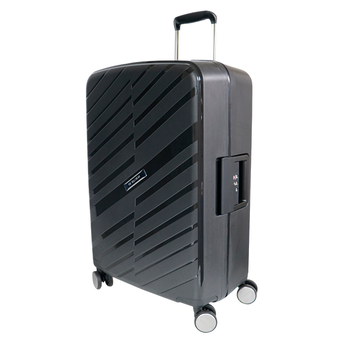 Quinn Medium Trolley Case