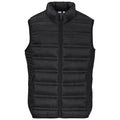 Mens Aurora Bodywarmer