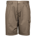 Rogue Shorts
