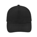 5 Panel Acrylic Cap