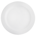 Arctic White Dinner Plate