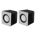 Compact Desktop Speakers