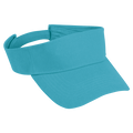 Arena Visor