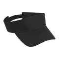 Arena Visor