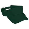 Arena Visor