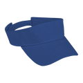 Arena Visor