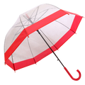 Dome Shaped Clear Umbrella
