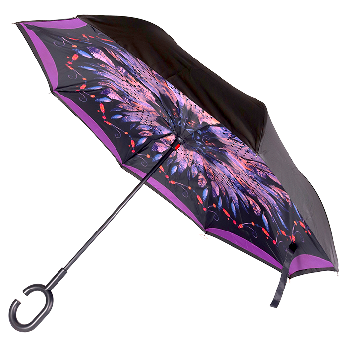 Printed Reversible Umbrella