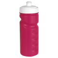 500ml Visiline Water Bottle