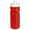500ml Visiline Water Bottle
