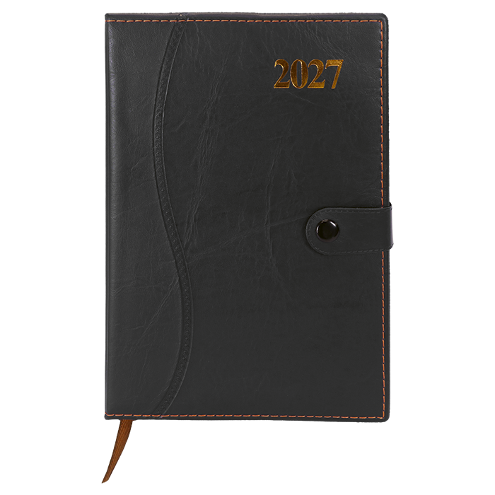 Barron 2027 Essential Diary
