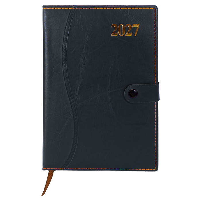 Barron 2027 Essential Diary