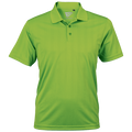Ernie Els Champion Golfer