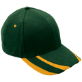 6 Panel Supporter Cap