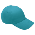 6 Panel Brushed Cotton Cap