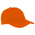 6 Panel Alloy Cap
