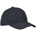 6 Panel Raven Cap