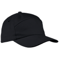 6 Panel Carbon Cap