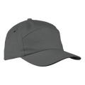 6 Panel Carbon Cap