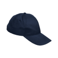 6 Panel Boost Cap