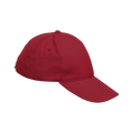 6 Panel Boost Cap