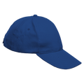 5 Panel Boost Cap