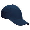6 Panel Barron Active Apex Cap