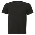 145G SG-Econo T-Shirt Crew Neck