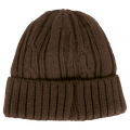 Cable Knit Beanie