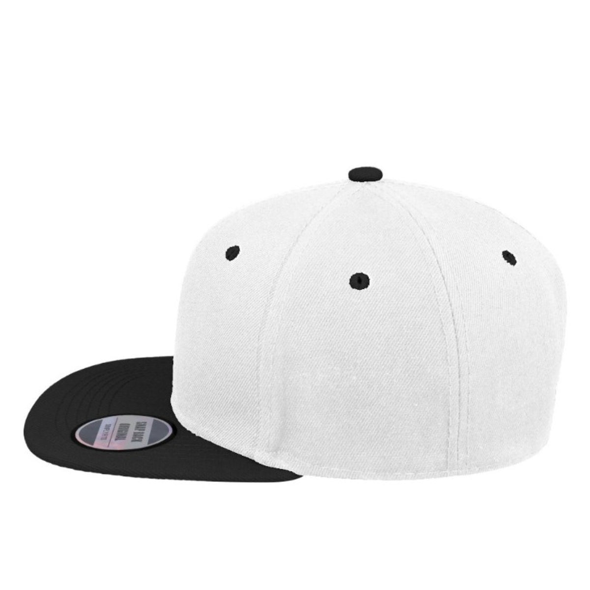 Snapback Two-Tone Cap