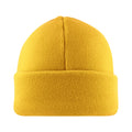 Polar Fleece Beanie