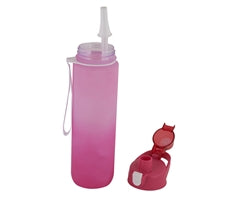 1 Litre Gradient Water Bottle